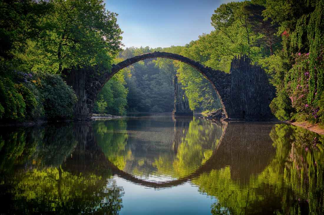 gray bridge and trees
